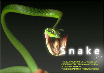 Snake Game With Levels